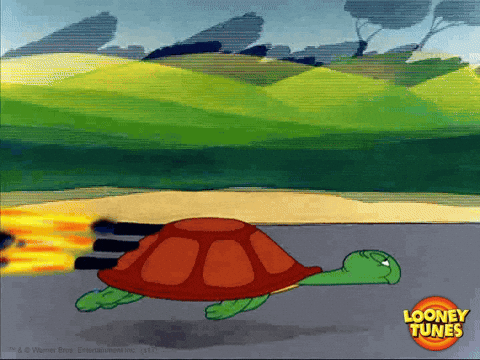 Giphy - race speeding GIF by Looney Tunes