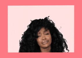 Persuasion Please GIF by SZA