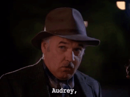 Season 2 Episode 20 GIF by Twin Peaks on Showtime