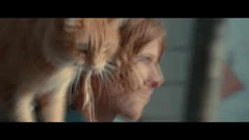 concorde  GIF