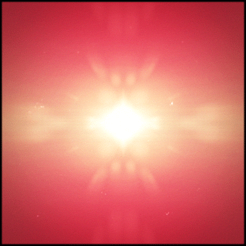 Orange Gif Artist GIF by Erica Anderson Find & Share on GIPHY