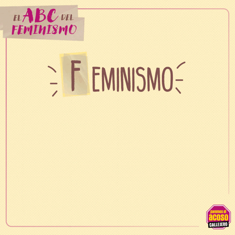 pamela feminism feminismo sexism machismo GIF