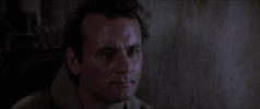 SpockIsMyHomeboy reaction ghostbusters bill murray i love this plan GIF