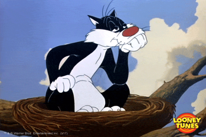 tired cat GIF by Looney Tunes