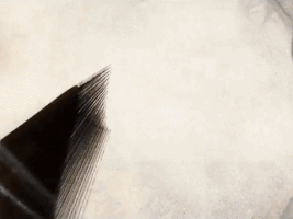 mikelarsonf458  GIF