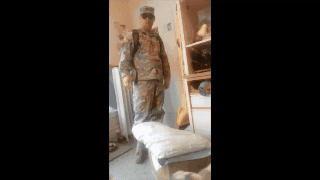 catmanian cats who are warmingly welcomming their humans GIF