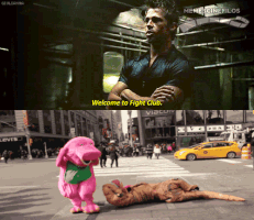 oscartorrado  GIF
