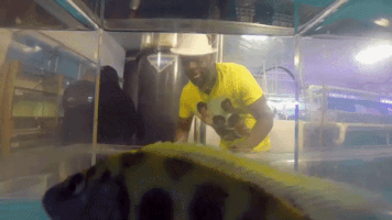 200.gif?cid=fc005b08e30a20e0ce9407e066c3977092ff4cfeca2672e8&rid=200.gif&ct=g