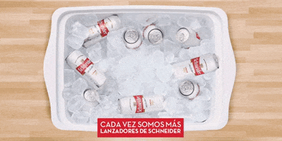 Beer Argentina GIF by Schneider Arg