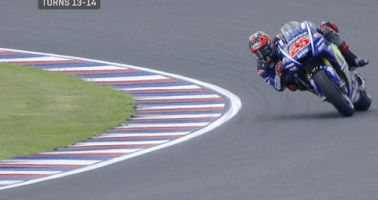 sacatunquepen  GIF