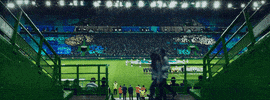 football win GIF by Together #WePlayStrong
