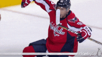 GIF by NHL