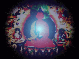 thamarindo  GIF