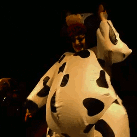Drag-cow GIFs - Get the best GIF on GIPHY