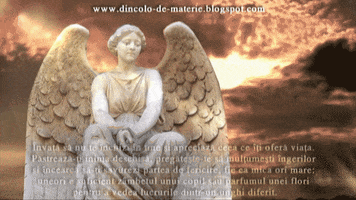 gabyvasi mesaj iubire spiritualitate ingeri GIF