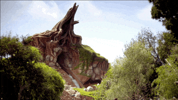 splash mountain GIF by Disney Parks