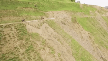 sabaaslamazashvili  GIF