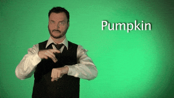 Sign Language Pumpkin GIF by Sign with Robert - Find &amp; Share on GIPHY