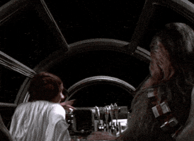 raccoon84 leia chewie GIF