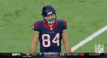 ryan griffin texans GIF by NFL