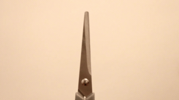 hairunruled  GIF