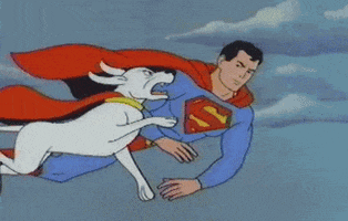 csragsto dog superman get out GIF