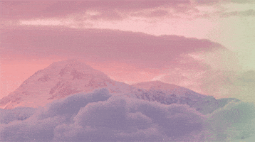 time-lapse pink GIF by Chelsea Quinlan time-lapse pink GIF by Chelsea Quinlan
