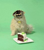 Angry Happy Birthday GIF by Birthday Bot