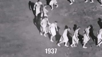 ozziemonge  GIF