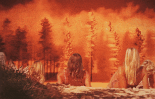 pinch  GIF