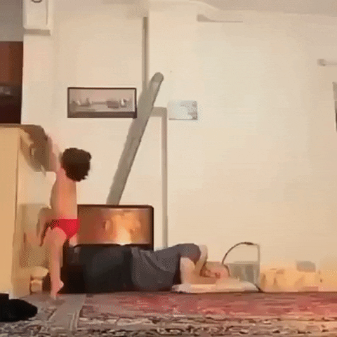 salim  GIF