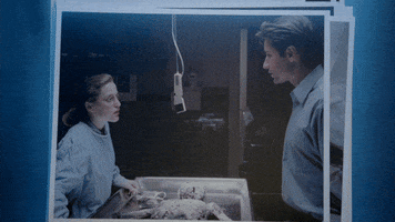GIF by The X-Files