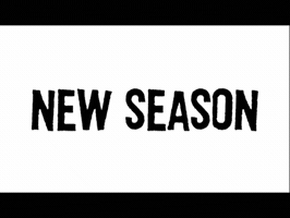 stevenbell  GIF