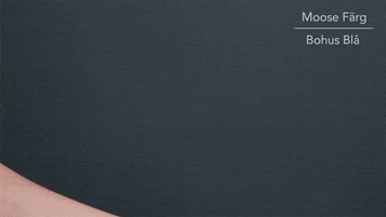 vitaliysoroka  GIF