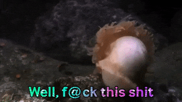 Done With Your Shit GIF