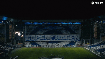 Fans Copenhagen GIF by F.C. København