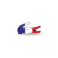 Happy France GIF by LACOSTE