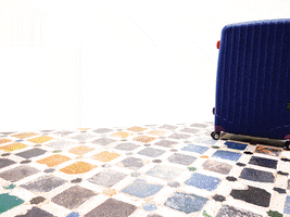 #travel #bagtagcontest GIF by Contiki