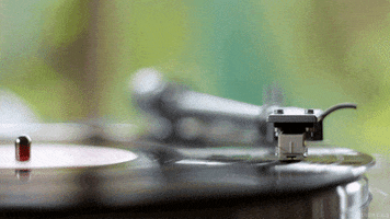perfect loop GIF by Living Stills