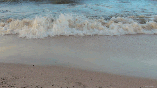 Beach Day GIF by Living Stills - Find & Share on GIPHY