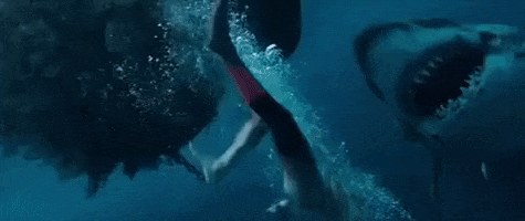 200.gif?cid=fc005b08d3d2ce4e6822a08ee962314d35c6168a8775e37e&rid=200.gif&ct=g