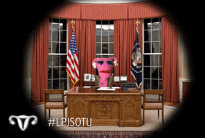 State Of The Union Uterus GIF by Abortion Access Front