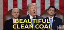 Donald Trump GIF by State of the Union address 2018