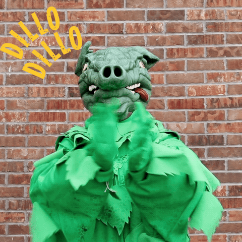 Dillodillo GIF