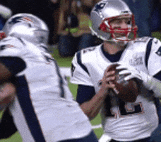 Super Bowl Eagles GIF