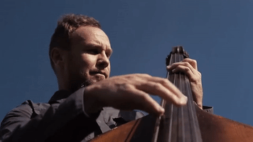 jeff ament GIF by Pearl Jam