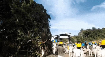 Halmahera Tengah GIF