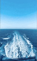 The Wake Travel GIF by The Cruise Dudes