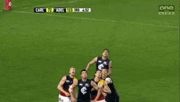 rugby win GIF