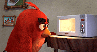 hungry bird GIF by Angry Birds